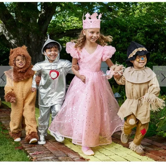 Wizard of Oz  Kids Scarecrow Costume - PBK - Picture 8 of 13